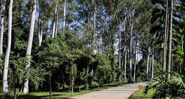 Natural Parks Management