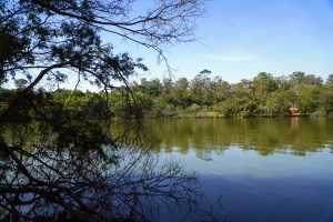 São Paulo Government opens public consultation for the concession of urban parks in the capital